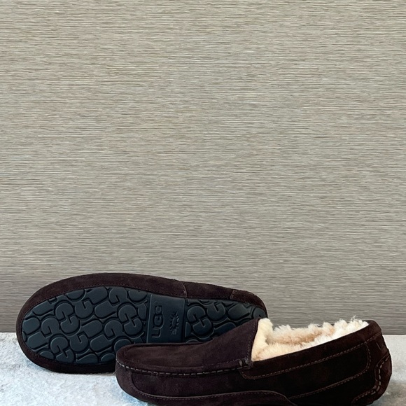 UGG ASCOT - Picture 2 of 4